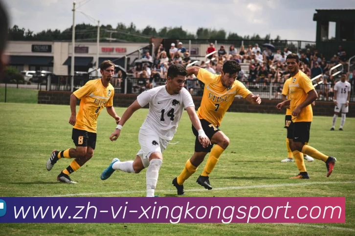 App Interface Preview