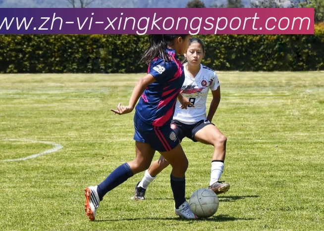 星空体育APP 封面图